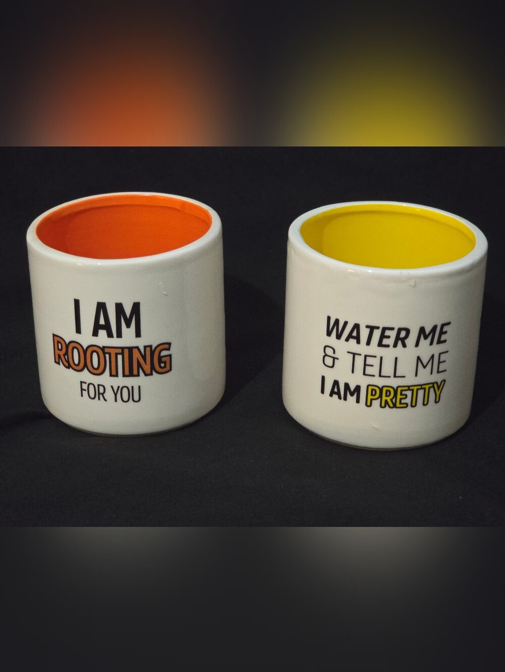 Ceramic Planter Pot with Yellow Interior - Water Me & Tell Me I Am Pretty